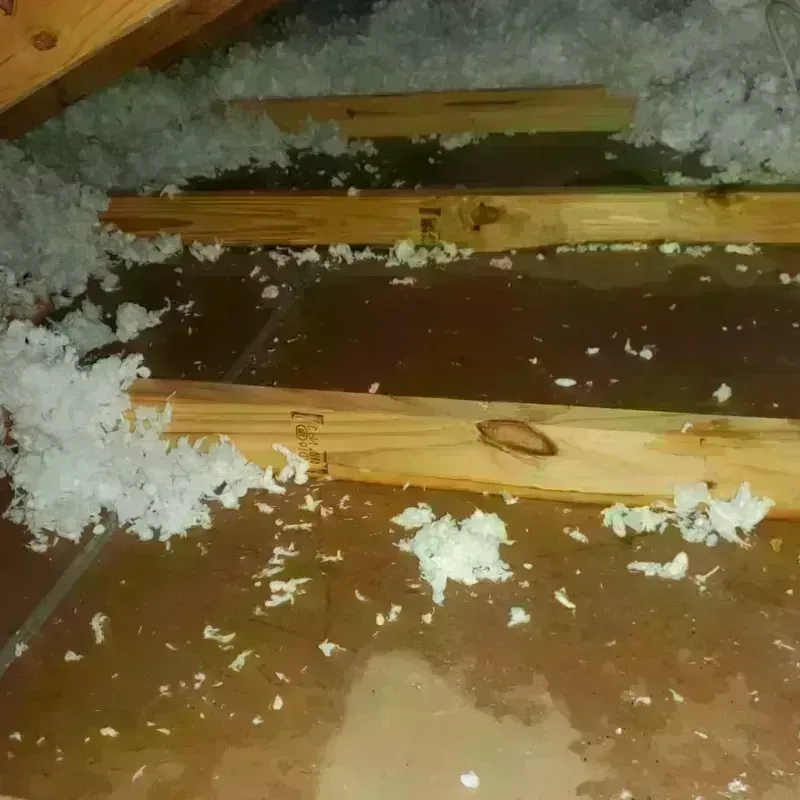 Attic Water Damage in Kula, HI